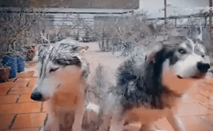 Đạo diễn Nguyễn Quang Dũng: “Trải nghiệm Super Slo-mo trên Galaxy S9 thực ngoài sức tưởng tượng”