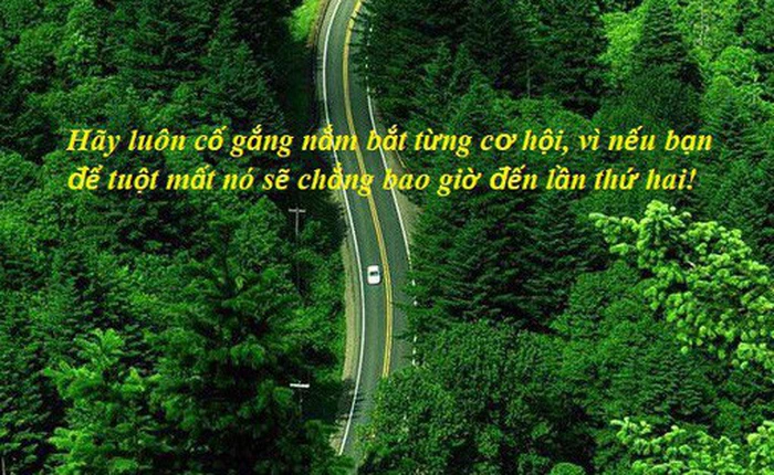 Chuyện cuối tuần: Câu chuyện về vị thương nhân bán bể cá và bài học "hãy tự gắn cánh cửa nơi nhà bạn để cơ hội gõ vào"