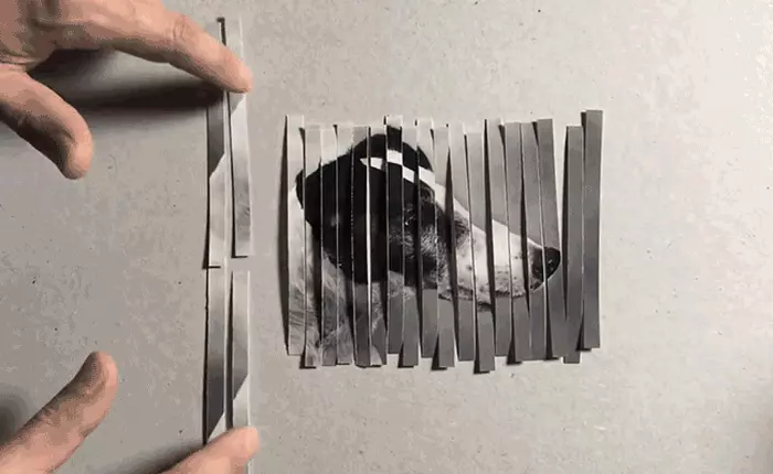 Thủ thuật chia nhỏ ảnh này sẽ cho chúng ta thấy ảnh số được chỉnh sửa như thế nào