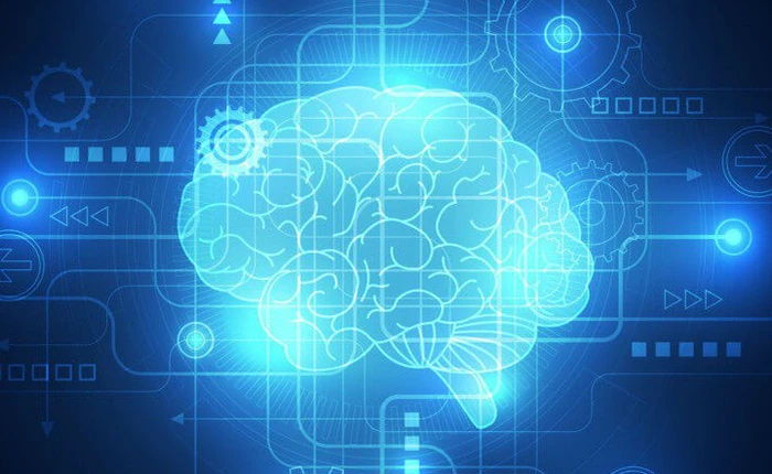 Bạn có biết vỏ não của mình chứa tới 17 tỷ cái máy tính không?