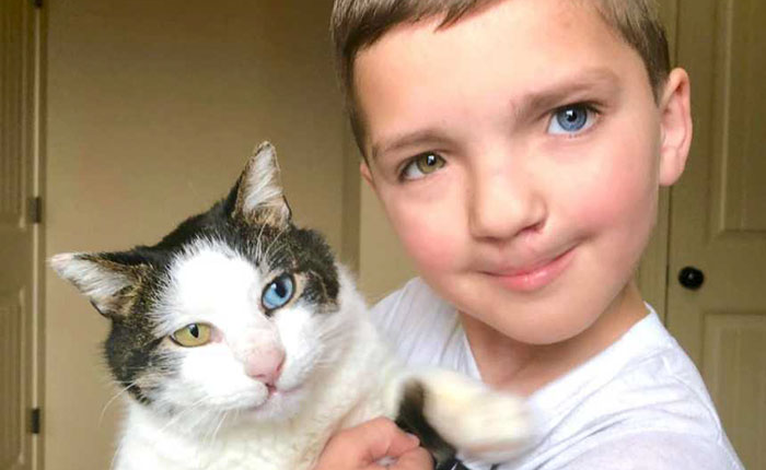 Cùng màu mắt, cùng bị tật ở miệng, số phận đã an bài cho cậu bé đáng thương và chú mèo hoang trở thành tri kỷ