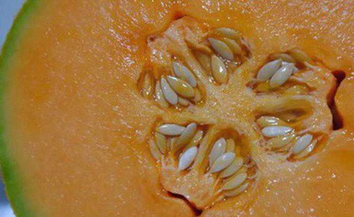 Australia: 3 người tử vong vì nhiễm khuẩn Listeria do ăn dưa lưới