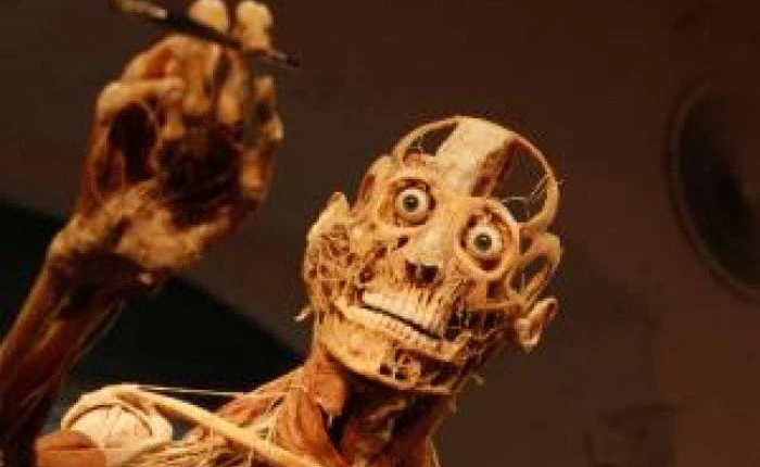 Ghé thăm 10 bảo tàng kỳ quái nhất trên Trái đất: Nếu yếu tim, bạn có thể mạnh dạn bỏ qua nơi cuối cùng