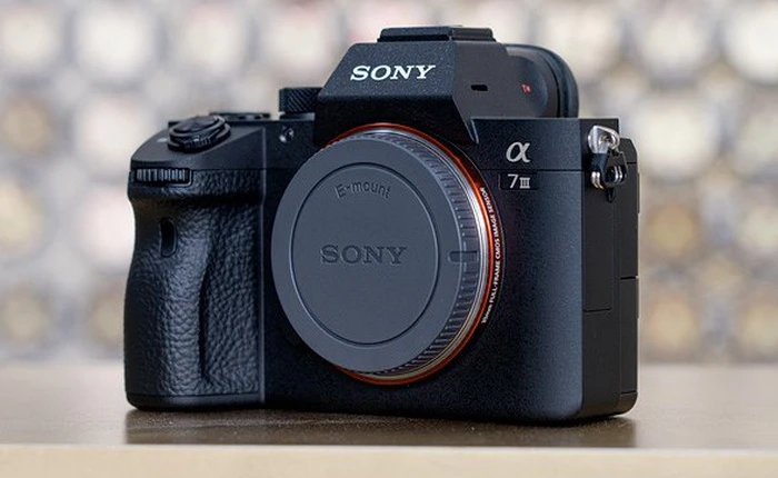 Cùng xem thử ảnh chụp trong điều kiện thiếu sáng của Sony A7 III, kết quả sẽ khiến bạn vô cùng kinh ngạc