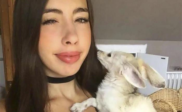 YouTuber ép cáo nuôi ăn chay theo chủ khiến con vật suy nhược trầm trọng, cộng đồng mạng lên án