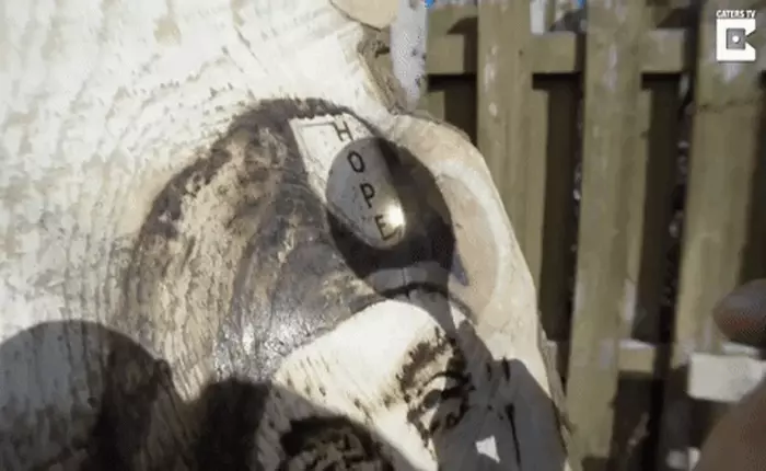 Kính lúp làm cọ, ánh mặt trời làm mực, anh chàng hoạ sĩ khiến người xem phải thán phục trước những tác phẩm cực kỳ ấn tượng