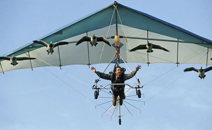 Sợ những con ngỗng gặp nguy hiểm, người đàn ông "dành cả trung niên" lái máy bay dẫn chúng di cư tới Pháp