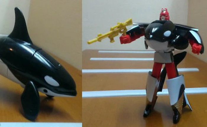 [Vui] Từ quái dị cho tới hài hước, chợ đồ cũ luôn có những thứ khiến bạn bất ngờ