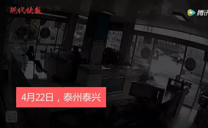 Chú chó lái xe ba bánh đâm sầm vào hàng điện thoại vì chủ quên không tắt máy