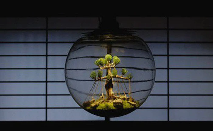 Sống ẩn dật với bóng đèn hỏng, tivi cũ, người đàn ông Nhật khiến bao người ngỡ ngàng khi nhìn những thành quả nghệ thuật thực sự