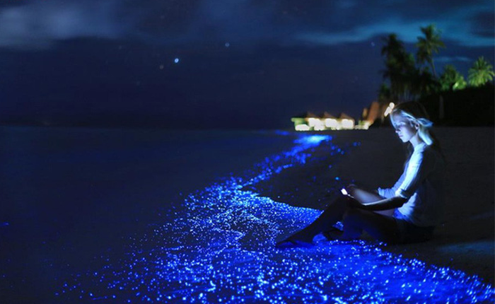 Những "kỳ quan" thiên nhiên kỳ ảo đến mức phải chứng kiến tận mắt mới tin nổi chúng là thật