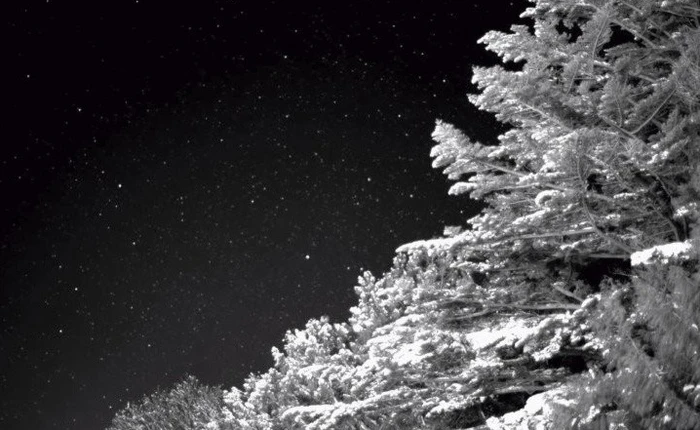 Canon giới thiệu cảm biến mới có thể quay slow-motion 100fps trong điều kiện cực kỳ thiếu sáng