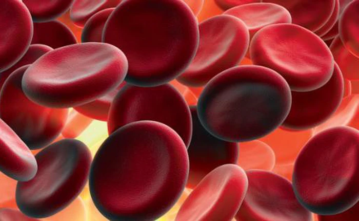 Đây là thứ băng gạc của tương lai: bạn tiêm nó vào người để cầm máu