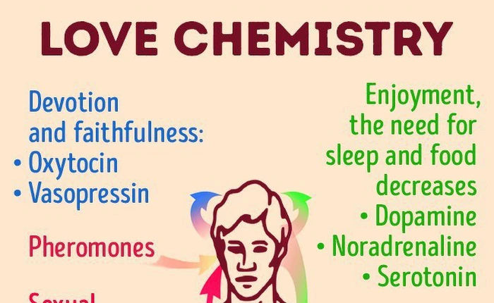 Có tình yêu nào là mãi mãi - khoa học cuối cùng cũng có câu trả lời cho bạn