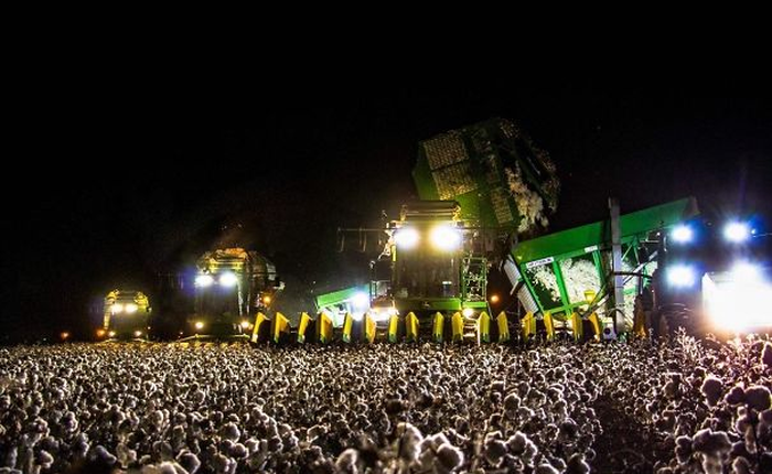 Loạt ảnh cực hại não này sẽ khiến bạn nghi ngờ thị lực của chính mình