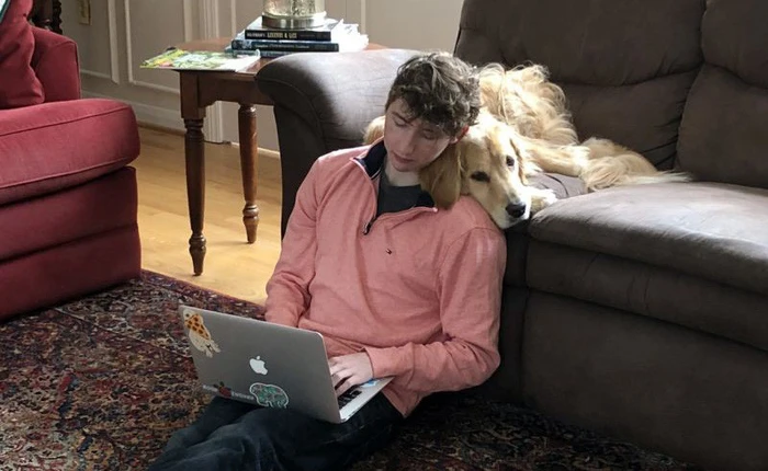 Nhờ nghề đánh giá chó online, anh chàng này vẫn kiếm được cả trăm nghìn USD/năm dù không học Đại học