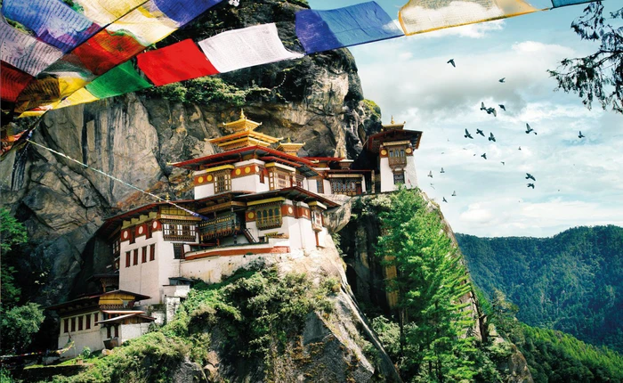 Đây là quốc gia duy nhất trên thế giới không thải ra CO2, thậm chí còn hút bớt đi