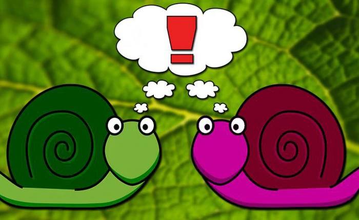 Các nhà khoa học sao chép thành công trí nhớ của ốc sên, mở ra khả năng mới để chữa trị bệnh Alzheimer