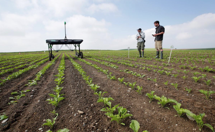 Với công nghệ này, ngành công nghiệp phân bón 100 tỷ USD của thế giới có đứng trước bờ vực sụp đổ?