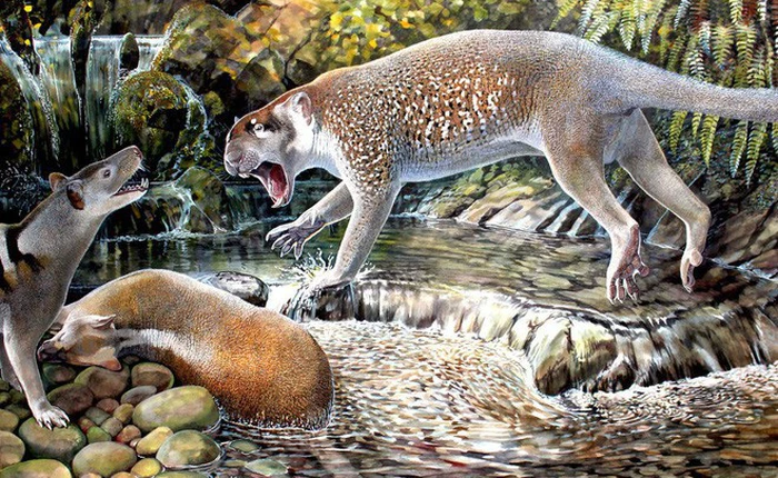 [Ảnh] 10 sinh vật kỳ lạ và độc đáo nhất mà các nhà khoa học đã phát hiện ra trong năm 2018