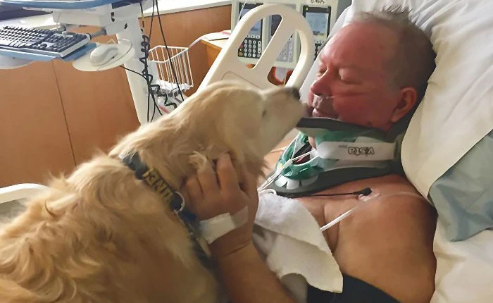 10 bằng chứng cho thấy chó là loài vật tình cảm nhất vũ trụ