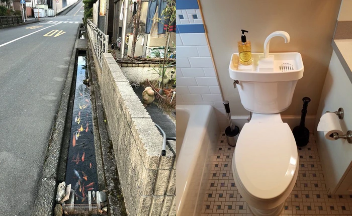 Cá koi bơi dưới cống, tận dụng nước rửa tay để xả bồn cầu và 22 sự thật thú vị về Nhật Bản thời hiện đại