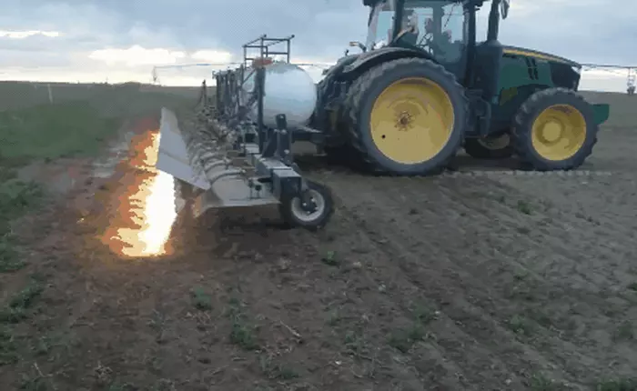 Chẳng ai ngờ xe kéo gắn súng phun lửa lại là công cụ trừ cỏ dại hiệu quả