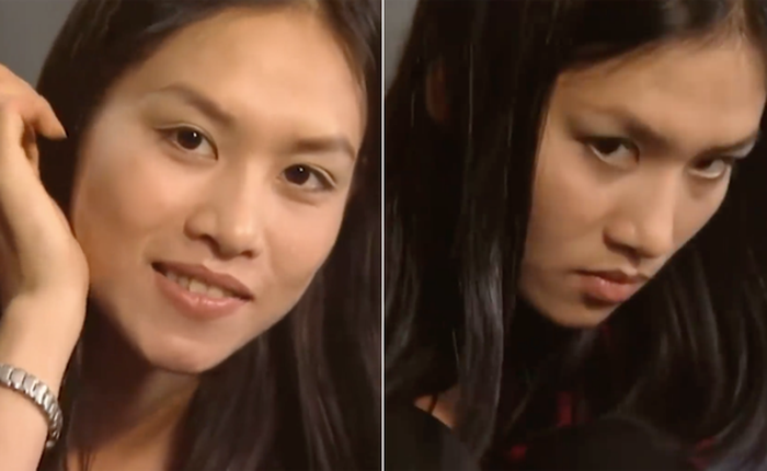 "Thảo mai" chính xác là gì mà dân tình ai cũng dùng và sự thật ngã ngửa về nghĩa của từ này