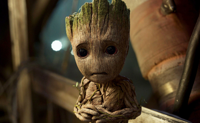 Groot nói một câu cực kỳ xúc động với Rocket nhưng chẳng ai hiểu, đạo diễn Guardians of the Galaxy hé lộ bí mật này khiến Internet phải vỡ òa