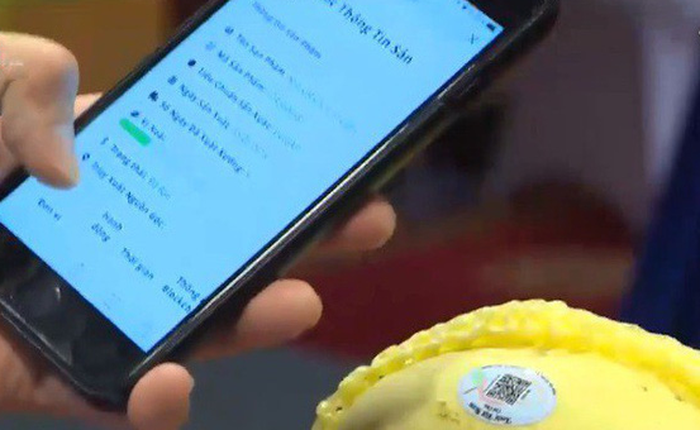 Chỉ với smartphone và internet, nông dân Đồng Tháp có thể tự lên đời xoài Cát Chu thành "xoài blockchain", người tiêu dùng 5 châu đều dễ dàng truy xuất nguồn gốc