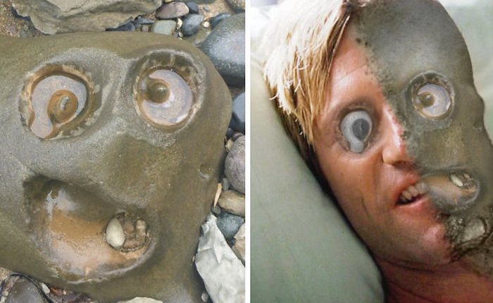 Tảng đá hình khuôn mặt ngớ ngẩn gây ra trận chiến Photoshop hài hước nhất quý II 2018