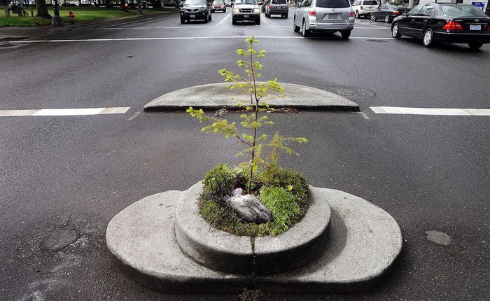 Công viên bé nhất thế giới: rộng chưa đầy 1 mét nhưng được cả thành phố nâng niu