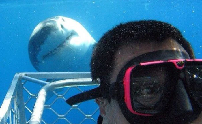 Những hình ảnh hài hước với background lấn át hoàn toàn nhân vật chính, nữ hoàng Anh cũng góp mặt trong một tấm