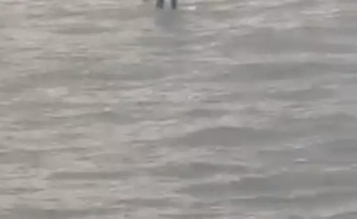 Mỹ: Bắt gặp người đàn ông mặc suit chèo ván vượt sông đi họp