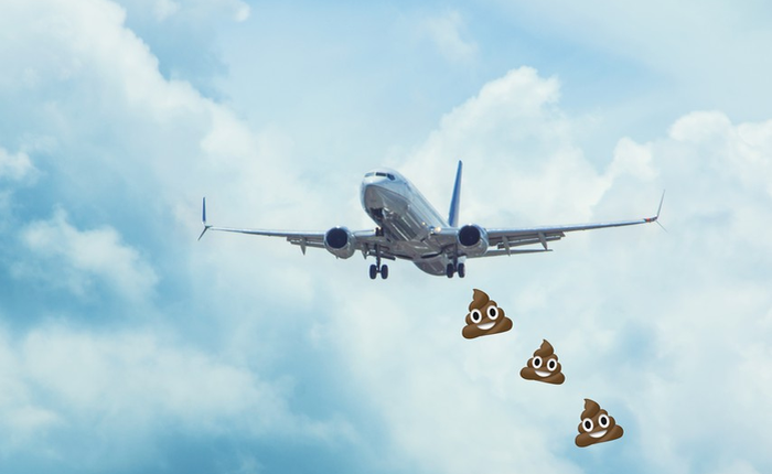 Bà cô Canada cáo buộc phân từ máy bay rơi trúng mặt khiến mình bị đau mắt đỏ