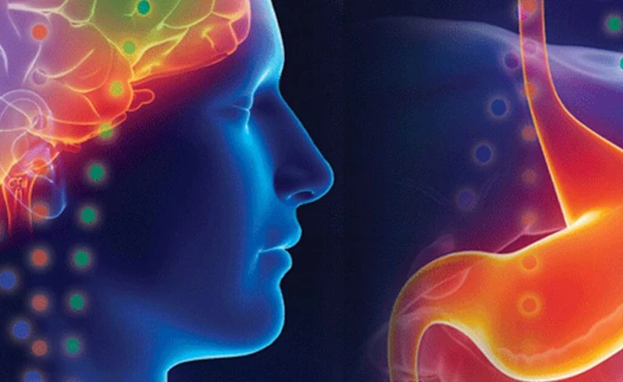 Có thể bạn chưa biết: Cơ thể chúng ta có đến hai bộ não!