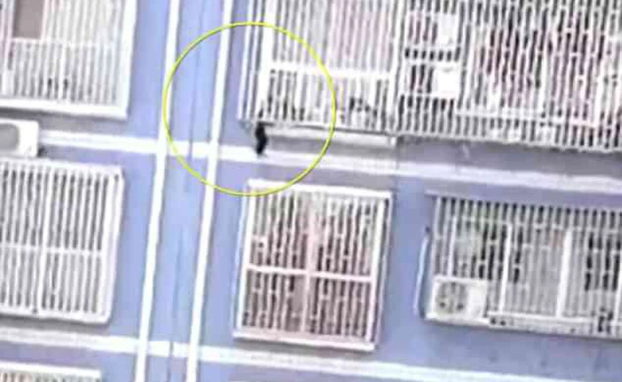 Lại xuất hiện thêm 1 Spider-Man tay không leo 5 tầng nhà để cứu em bé treo lơ lửng tại Trung Quốc