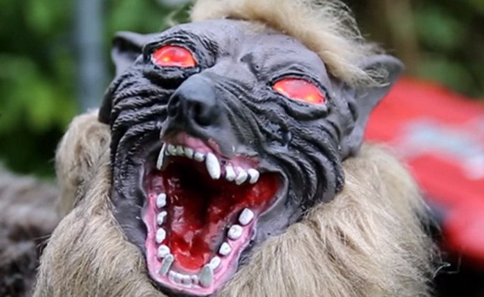 Nông dân Nhật Bản dùng robot chó sói để bảo vệ mùa màng nhưng thoạt nhìn trông thật khiếp sợ