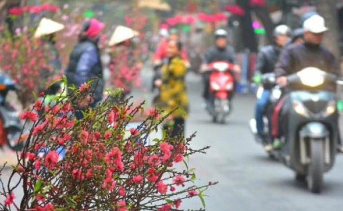 Tết Nguyên đán 2019 được nghỉ 9 ngày, dịp lễ 30/4-1/5/2019 nghỉ 5 ngày