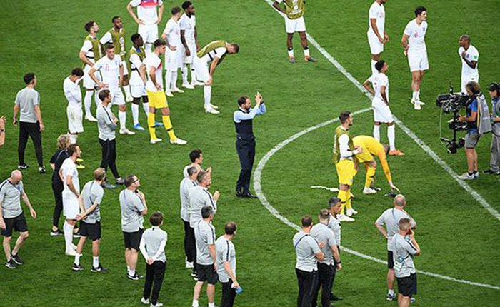 Số phận nghiệt ngã của chú lợn tiên tri, cộng đồng mạng đòi làm thịt vì đoán sai trận Anh gặp Croatia