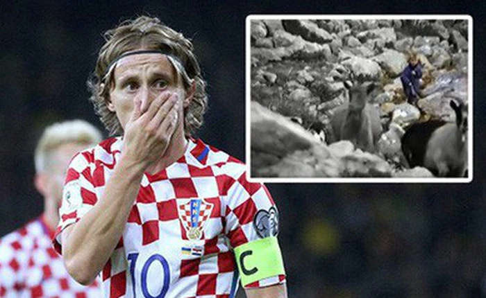 Đoạn phim cực hiếm về Modric năm 5 tuổi: Cầm gậy chăn đàn dê trước mắt bầy sói hung dữ