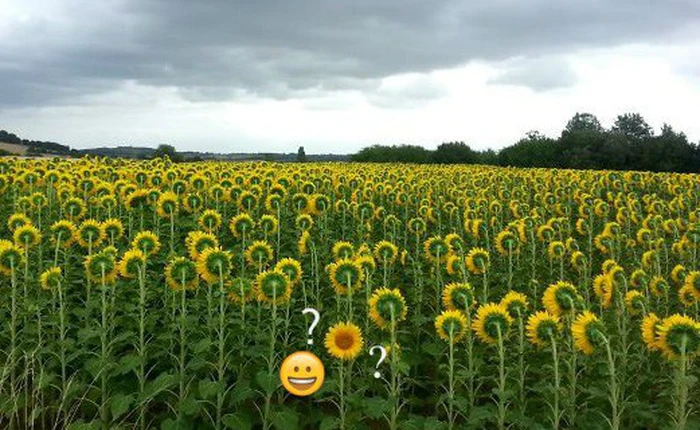 [Vui] Toát mồ hôi hột với loạt ảnh đầy ngang trái, nhưng không sao đó là cuộc sống mà