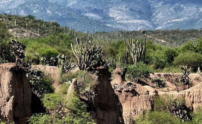 Vẻ đẹp của 19 di sản thế giới vừa được UNESCO công nhận