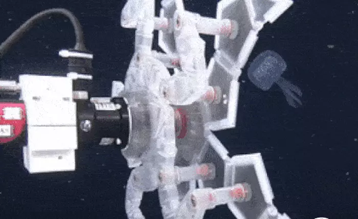Cánh tay robot in 3D origami này có thể bắt được những sinh vật nhỏ bé mà không làm hại chúng