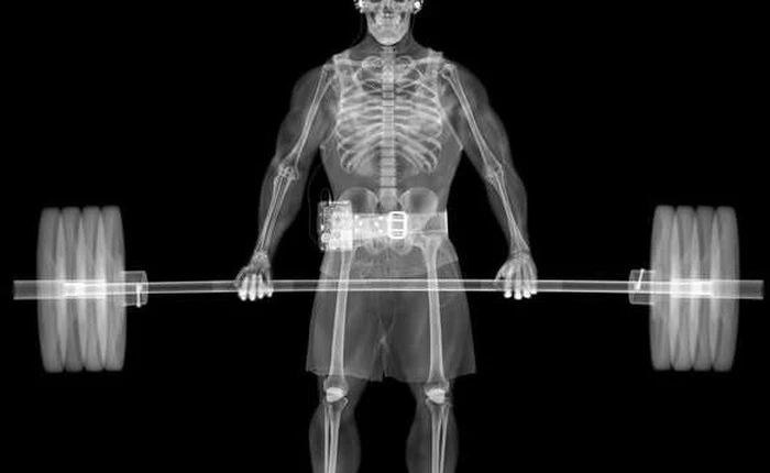 Xương của bạn đã phát triển tối đa sau tuổi 25, nếu không tập luyện nó sẽ nhỏ đi mất