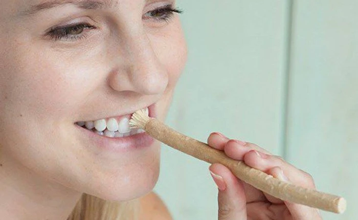 Chuyện vệ sinh răng miệng "lạ đời" trên thế giới: Nhai mía, xỉa răng bằng lông nhím mà hàm răng trắng sáng như thường
