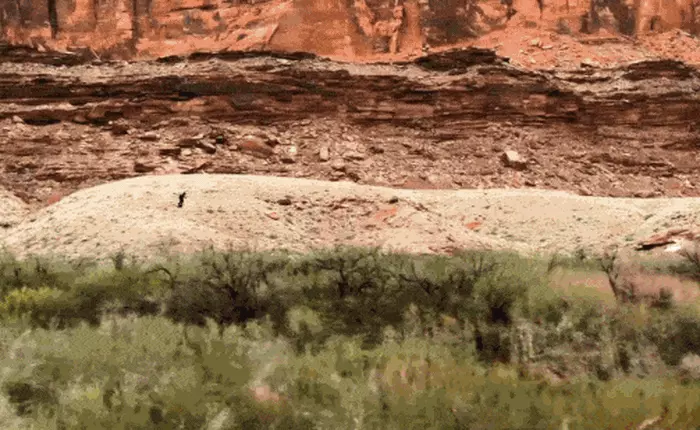 Xem màn trình diễn chao lượn hoverboard trên không với tốc độ lên tới 160km/h