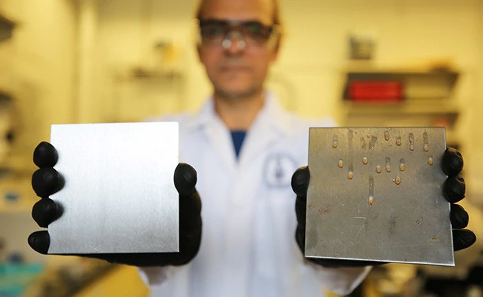 Phủ dầu ăn thường lên thiết bị sản xuất thực phẩm công nghiệp có thể giảm thiểu vi khuẩn bám tới 1.000 lần