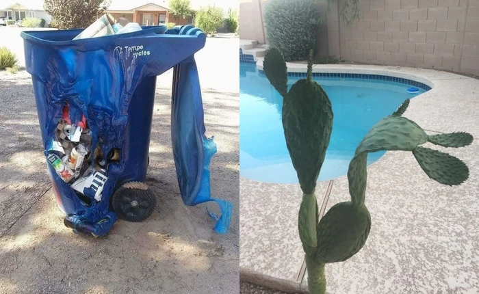 Khoảng thời gian này năm ngoái, Mỹ từng nóng đến vẹo cả xương rồng