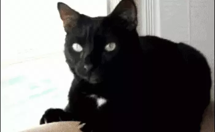 Thioacetone có mùi kinh tởm nhất thế giới: đã từng lan ra khiến người trong bán kính 0,75 km nôn mửa và bất tỉnh, làm cả thành phố sợ quá phải sơ tán